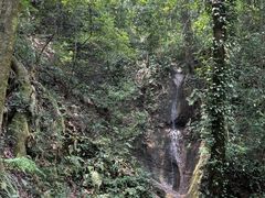 -青城山
