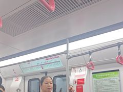 -大龙山(地铁站)