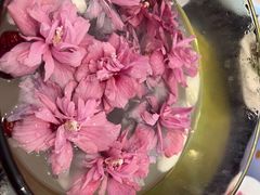 -金唐宫(淮河文化广场店)