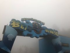 -梦幻奥陶纪景区