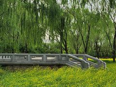 -北坞公园