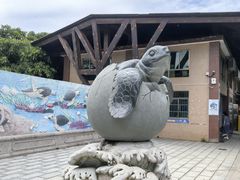 -广东惠东海龟国家级自然保护区