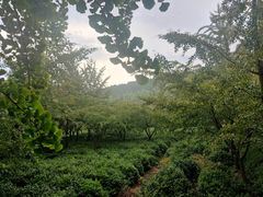 -九龙潭景区