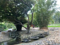 -成都市活水公园