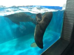 -成都浩海立方海洋公园