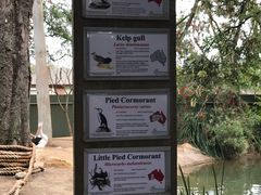 -费瑟代尔野生动物园