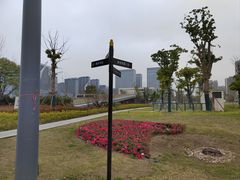 -金沙湖公园