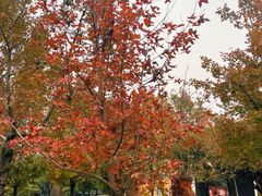 -福州大学(旗山校区)
