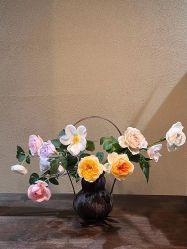 -美肤盾祛痘·问题肌头疗管理中心