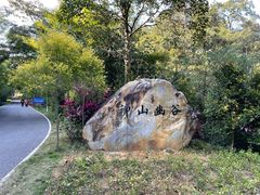 -广州白江湖森林公园