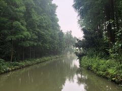 -同里国家湿地公园