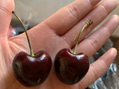 -上海龙吴水胜海发市场