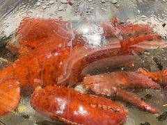 -半岛听涛蒸汽海鲜自助(K11店)