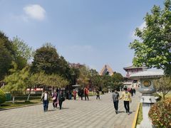 -法门文化景区