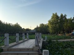 -前关湿地公园