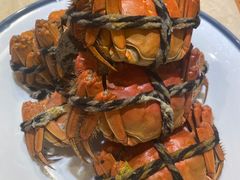 -杨氏青龙虾·羊蝎子(珠江路店)