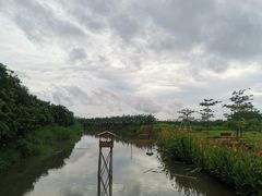 -大湾区中央湿地公园
