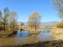 -野鸭湖国家湿地公园