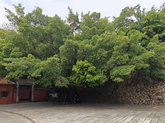 -草庵摩尼教遗址公园