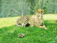 -北京野生动物园