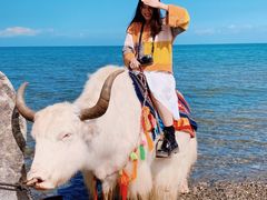 -青海湖国家重点风景名胜区