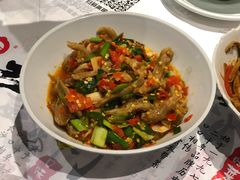 鸭掌筋-壹盏灯(惠农店)