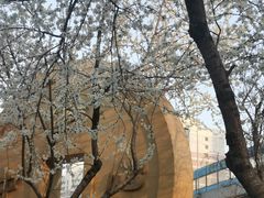 -沈阳HAI乐园