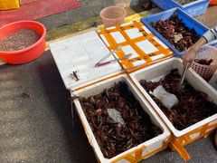 水产区-清远三鸟海鲜农贸市场