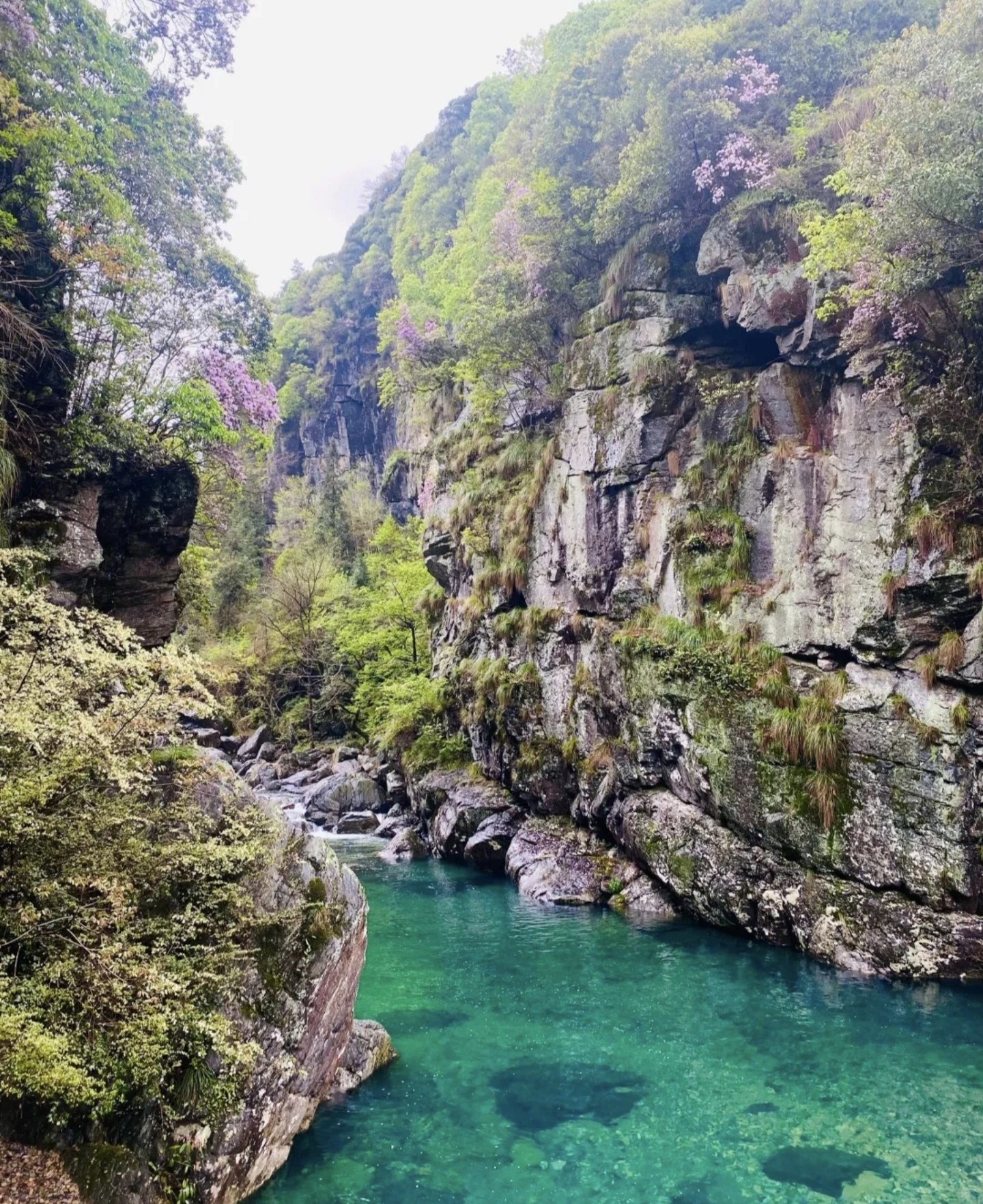 https://qcloud.dpfile.com/pc/J9cmXuHAkP0xgn3obBqXwx-0YbLPIy4ZkpkP4LY93JJIxgMHAHhHTbi8yXOGrHOGY0q73sB2DyQcgmKUxZFQtw.jpg