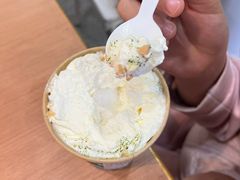 -雾与山茶(大禹城店)