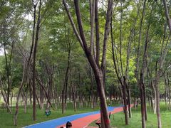 -香山公园
