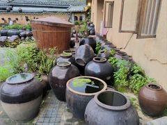 -清水湖度假村(罗浮山美食地标店)