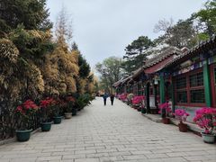 -红螺寺