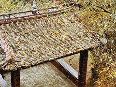 -冠豸山景区