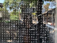 -常熟方塔园
