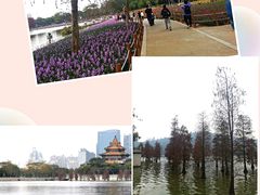 -顺峰山公园