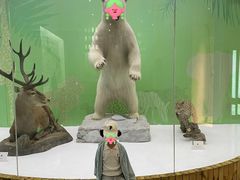 -国家自然博物馆