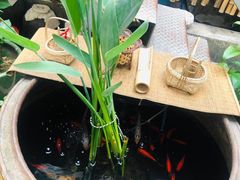 -食客三千·老家