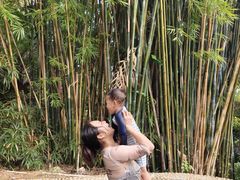 -罗浮山嘉宝田森林温泉度假酒店