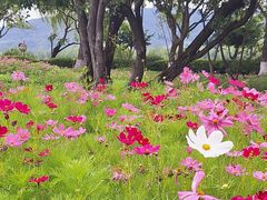 -南北湖风景区
