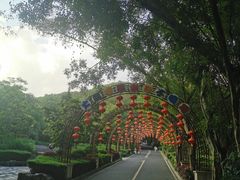 -大屏嶂森林公园