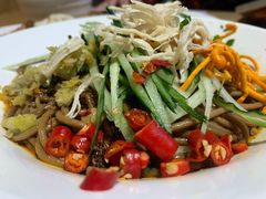 -龙抄手食府(浣花北路店)