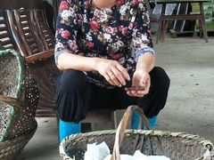 -马陆小张葡萄园农家乐