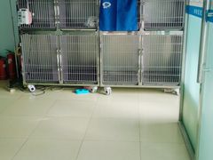 -乐宠动物医院