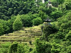 -石台牯牛降景区