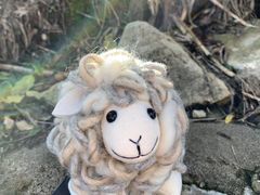 -怀托摩萤火虫洞