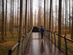 -黄海国家森林公园