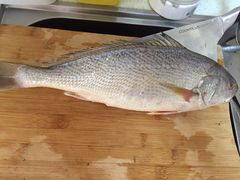 -青岛沙子口国家中心渔港