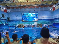 -多彩贵州城极地海洋世界