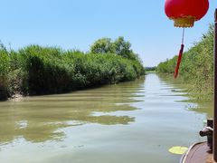 -微山湖红荷湿地景区